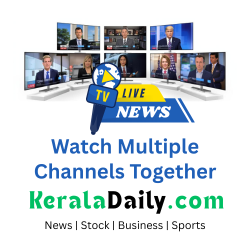 Watch multiple live news channel togetherSeeb